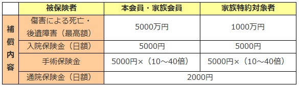 国内旅行傷害保険