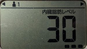 内臓脂肪レベル