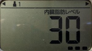 内臓脂肪レベル