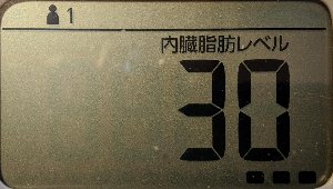 内臓脂肪レベル