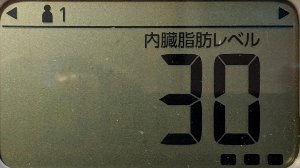 内臓脂肪レベル