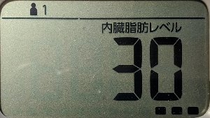 内臓脂肪レベル