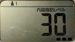 内臓脂肪レベル