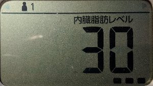 内臓脂肪レベル