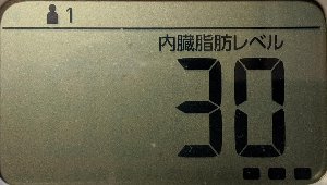 内臓脂肪レベル