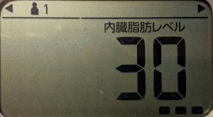 内臓脂肪レベル