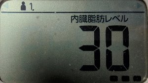 内臓脂肪レベル
