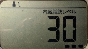 内臓脂肪レベル