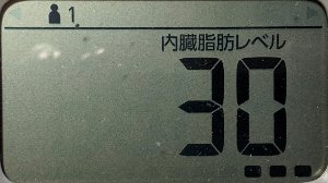 内臓脂肪レベル