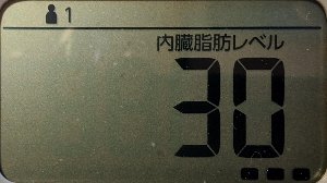 内臓脂肪レベル