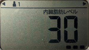 内臓脂肪レベル