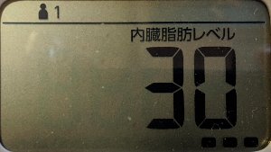 内臓脂肪レベル