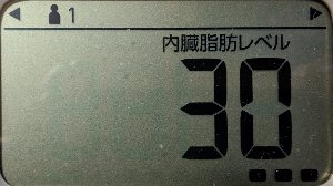内臓脂肪レベル