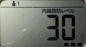 内臓脂肪レベル