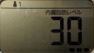 内臓脂肪レベル