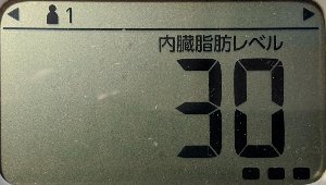 内臓脂肪レベル