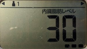 内臓脂肪レベル