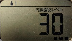 内臓脂肪レベル