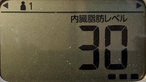 内臓脂肪レベル