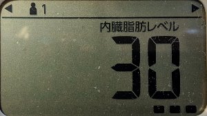 内臓脂肪レベル