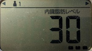 内臓脂肪レベル