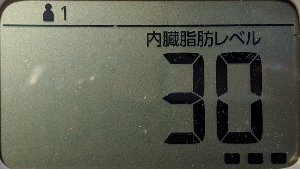 内臓脂肪レベル