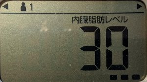 内臓脂肪レベル