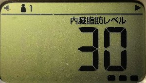 内臓脂肪レベル
