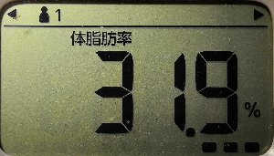 体脂肪率