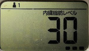 内臓脂肪レベル
