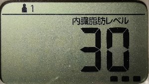 内臓脂肪レベル