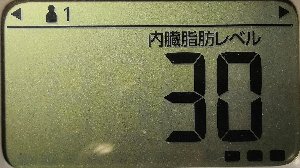 内臓脂肪レベル