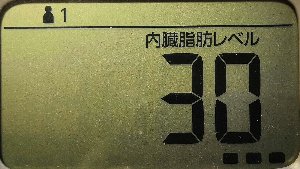 内臓脂肪レベル