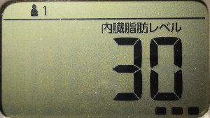 内臓脂肪レベル