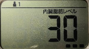 内臓脂肪レベル