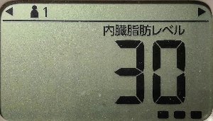 内臓脂肪レベル