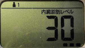 内臓脂肪レベル