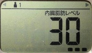 内臓脂肪レベル