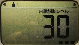 内臓脂肪レベル