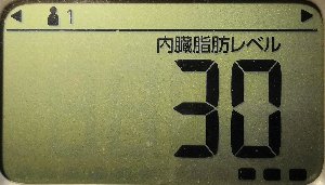 内臓脂肪レベル