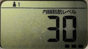 内臓脂肪レベル