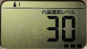 内臓脂肪レベル