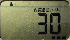 内臓脂肪レベル