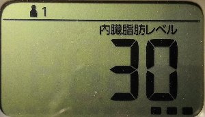 内臓脂肪レベル
