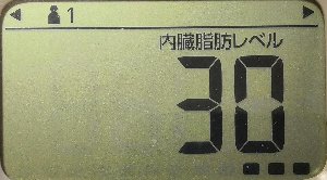 内臓脂肪レベル