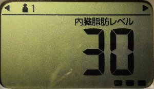 内臓脂肪レベル