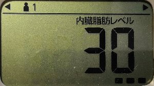 内臓脂肪レベル
