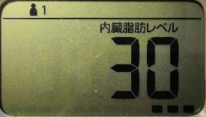 内臓脂肪レベル