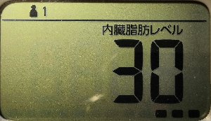 内臓脂肪レベル
