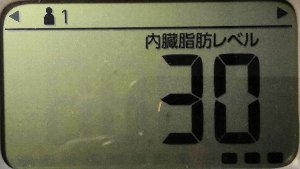 内臓脂肪レベル